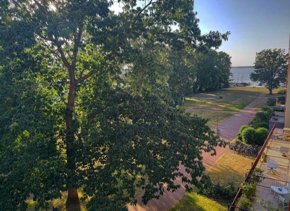 Am Steinhuder Apartament *